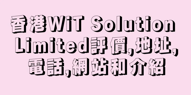 香港WiT Solution Limited評價,地址,電話,網站和介紹