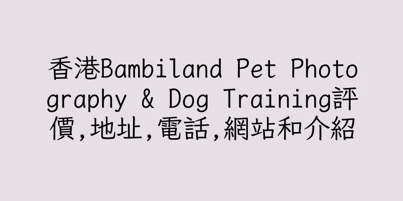 香港Bambiland Pet Photography & Dog Training評價,地址,電話,網站和介紹