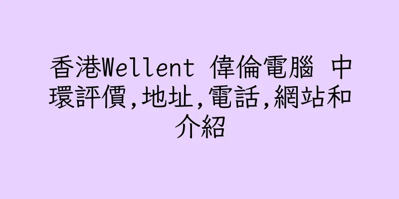 香港Wellent 偉倫電腦 中環評價,地址,電話,網站和介紹