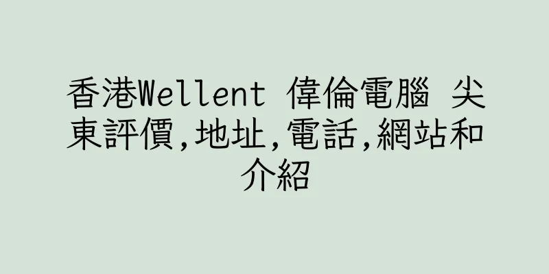 香港Wellent 偉倫電腦 尖東評價,地址,電話,網站和介紹